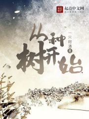 从种稻子到磨成米粉的过程
